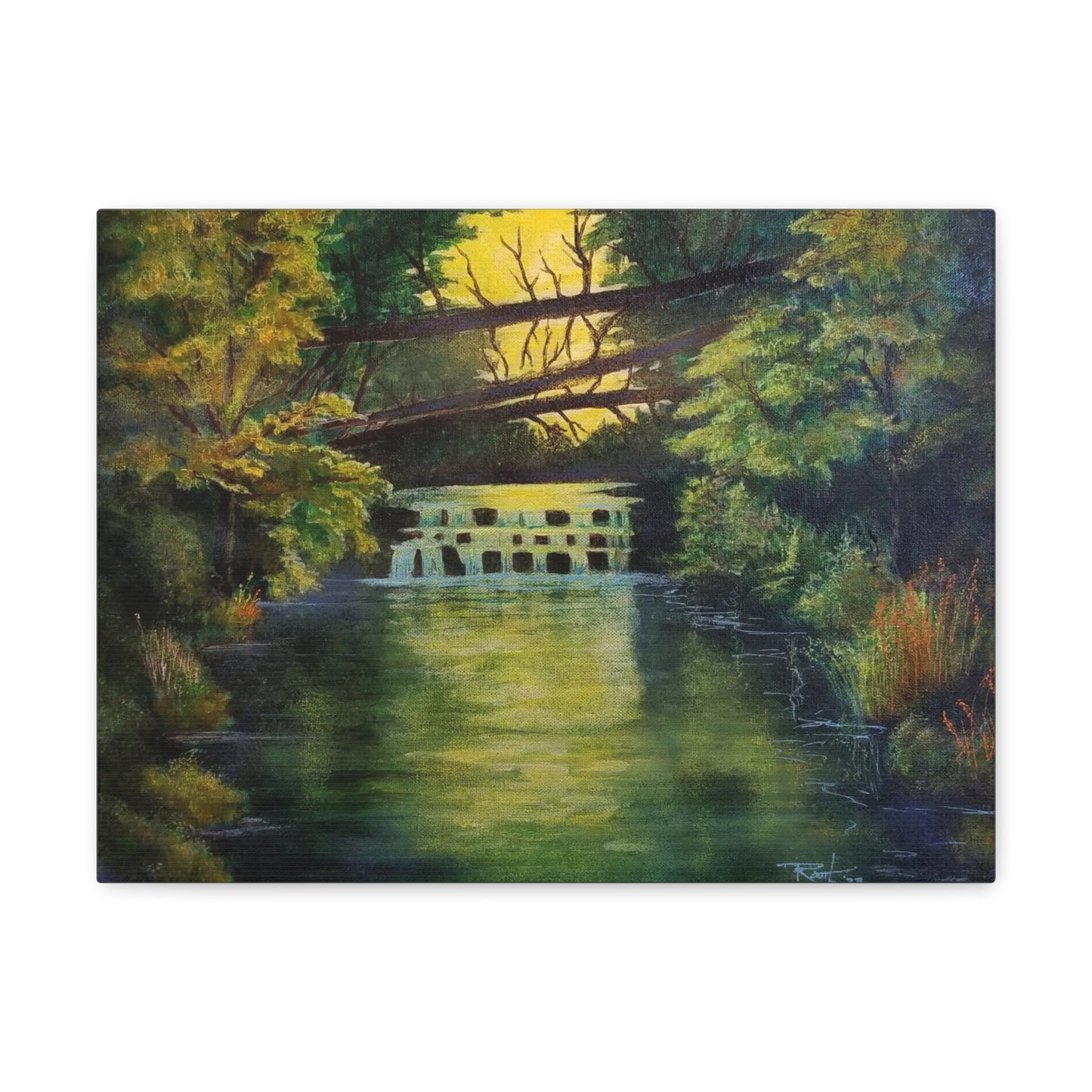 "Forest Stream"