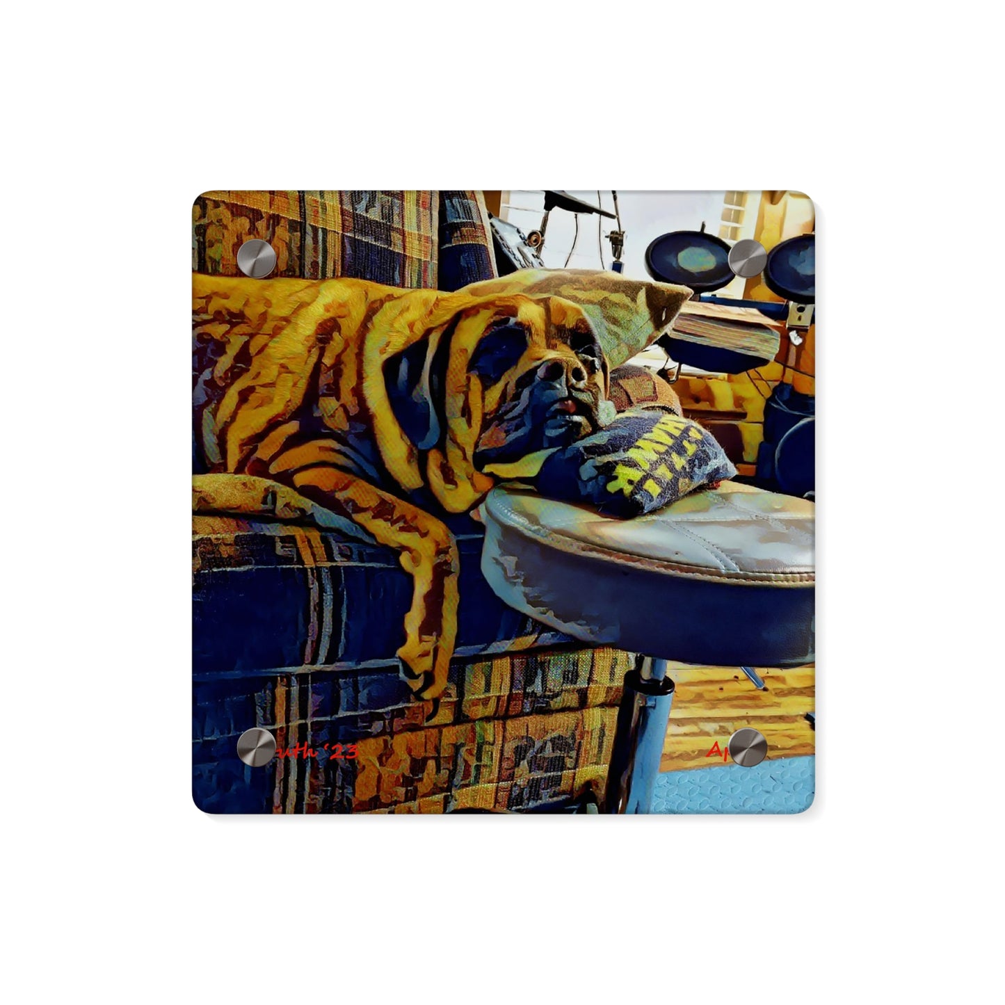 "Appa" Acrylic Art Panels
