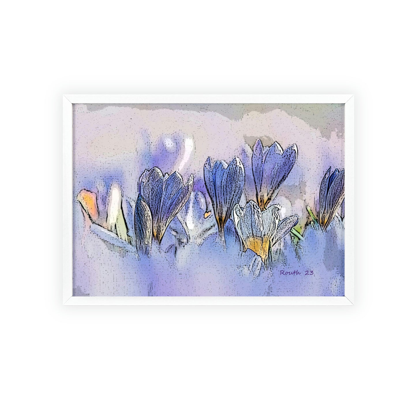 "Crocus watercolor"