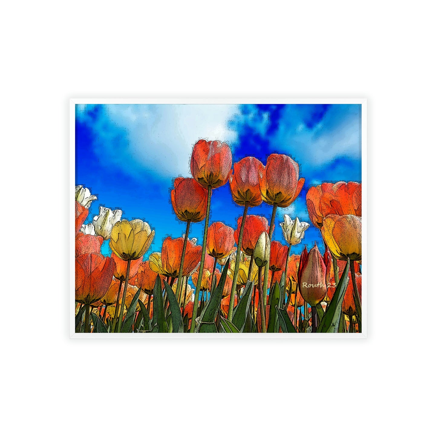 "Tulips"