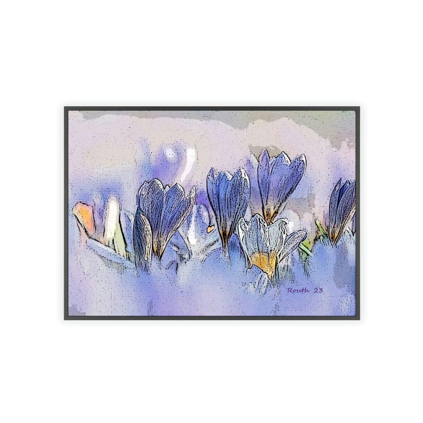 "Crocus watercolor"