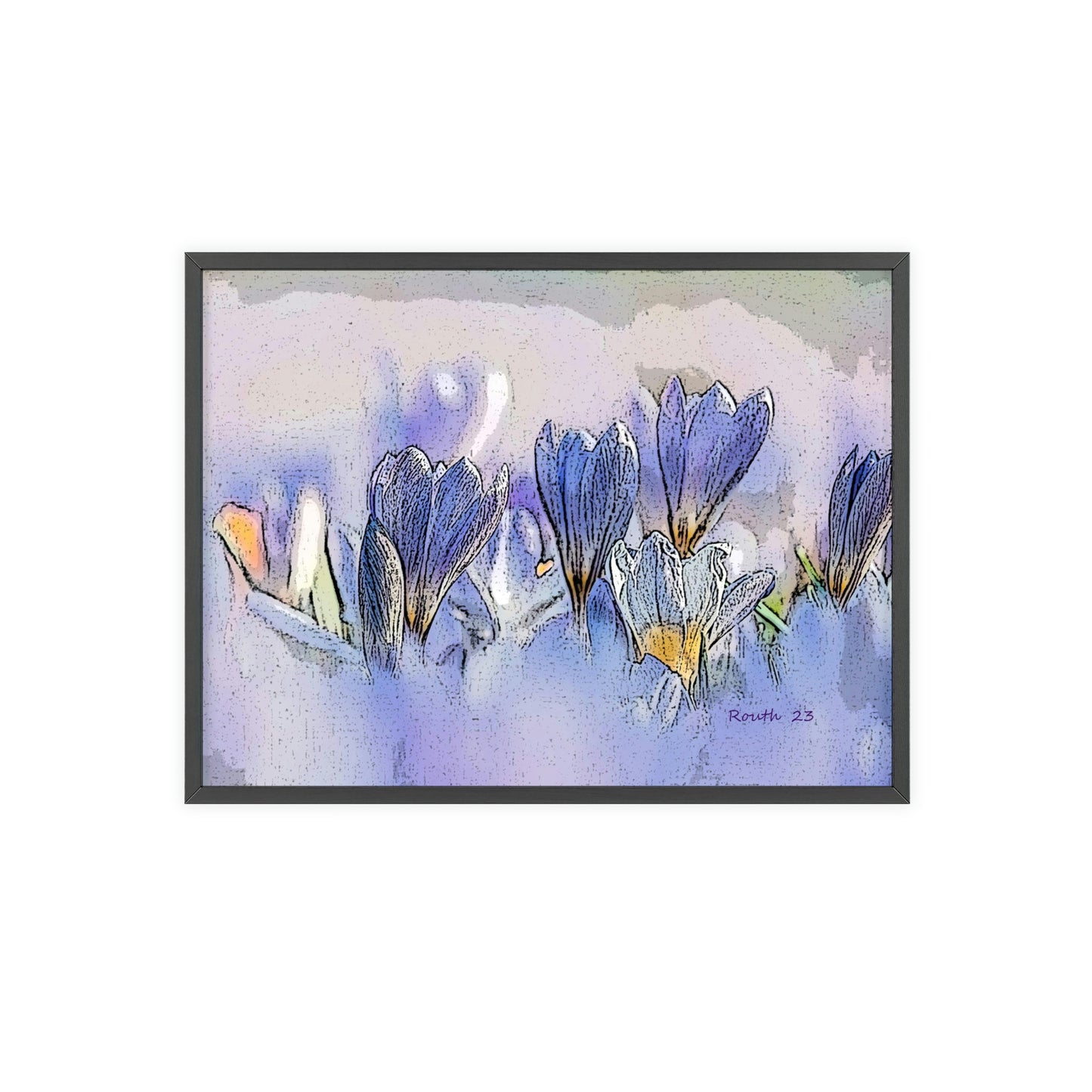 "Crocus watercolor"