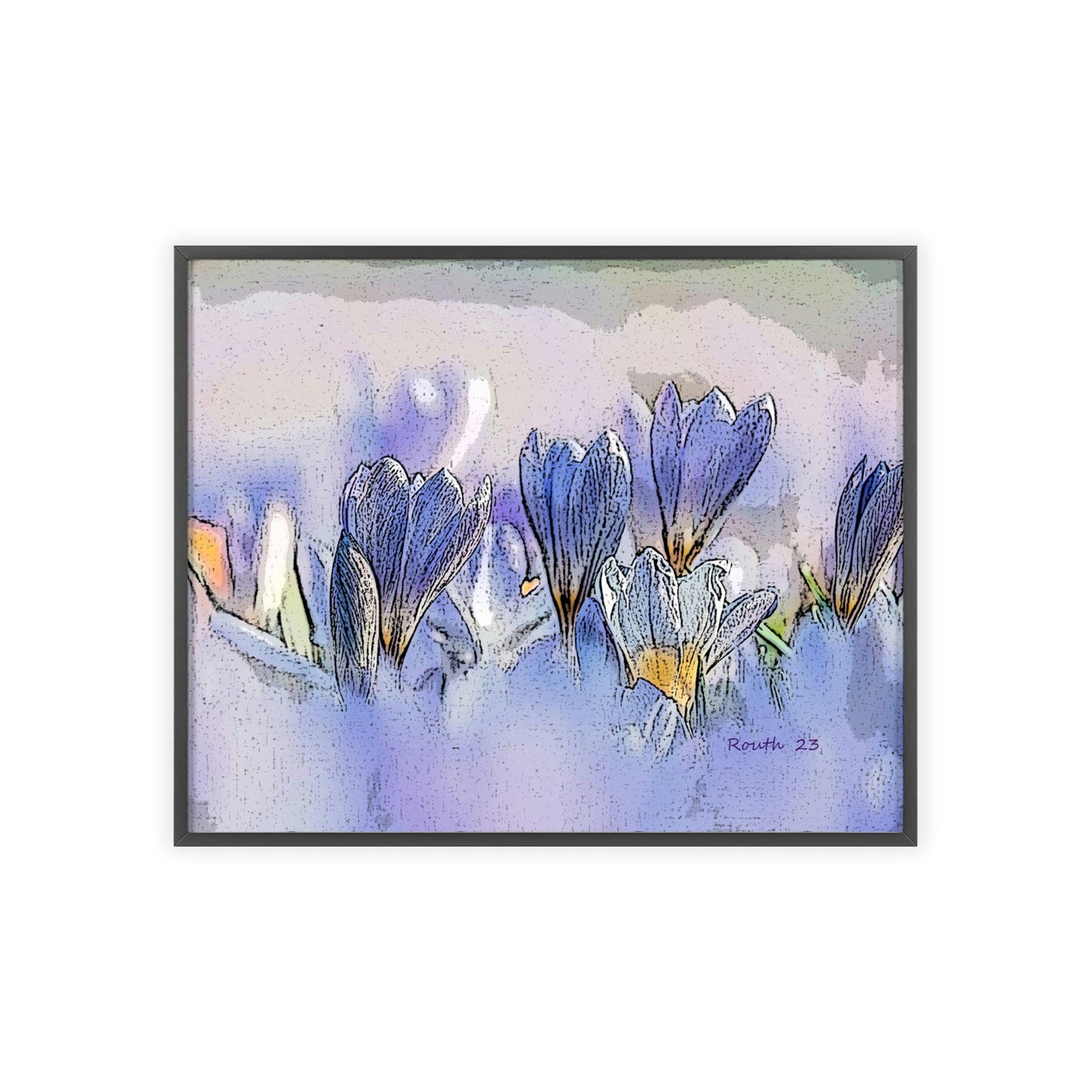 "Crocus watercolor"