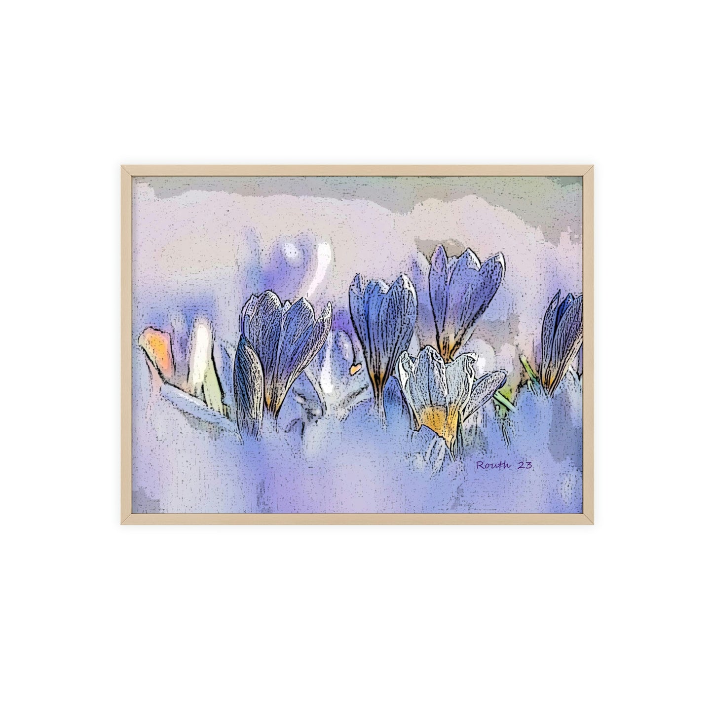 "Crocus watercolor"