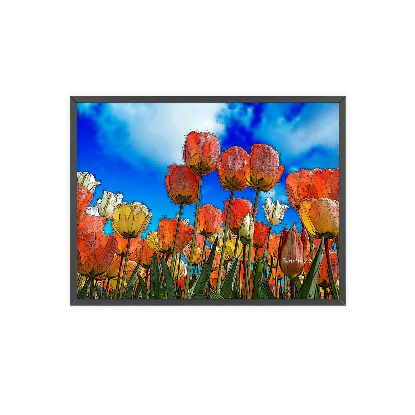 "Tulips"