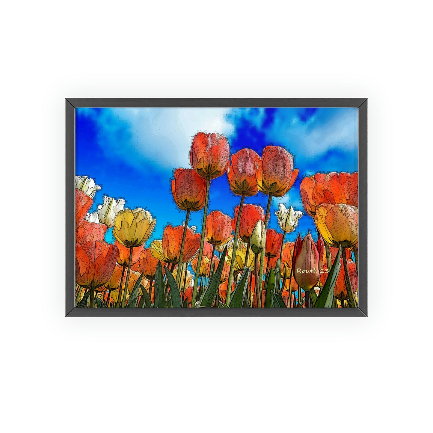 "Tulips"