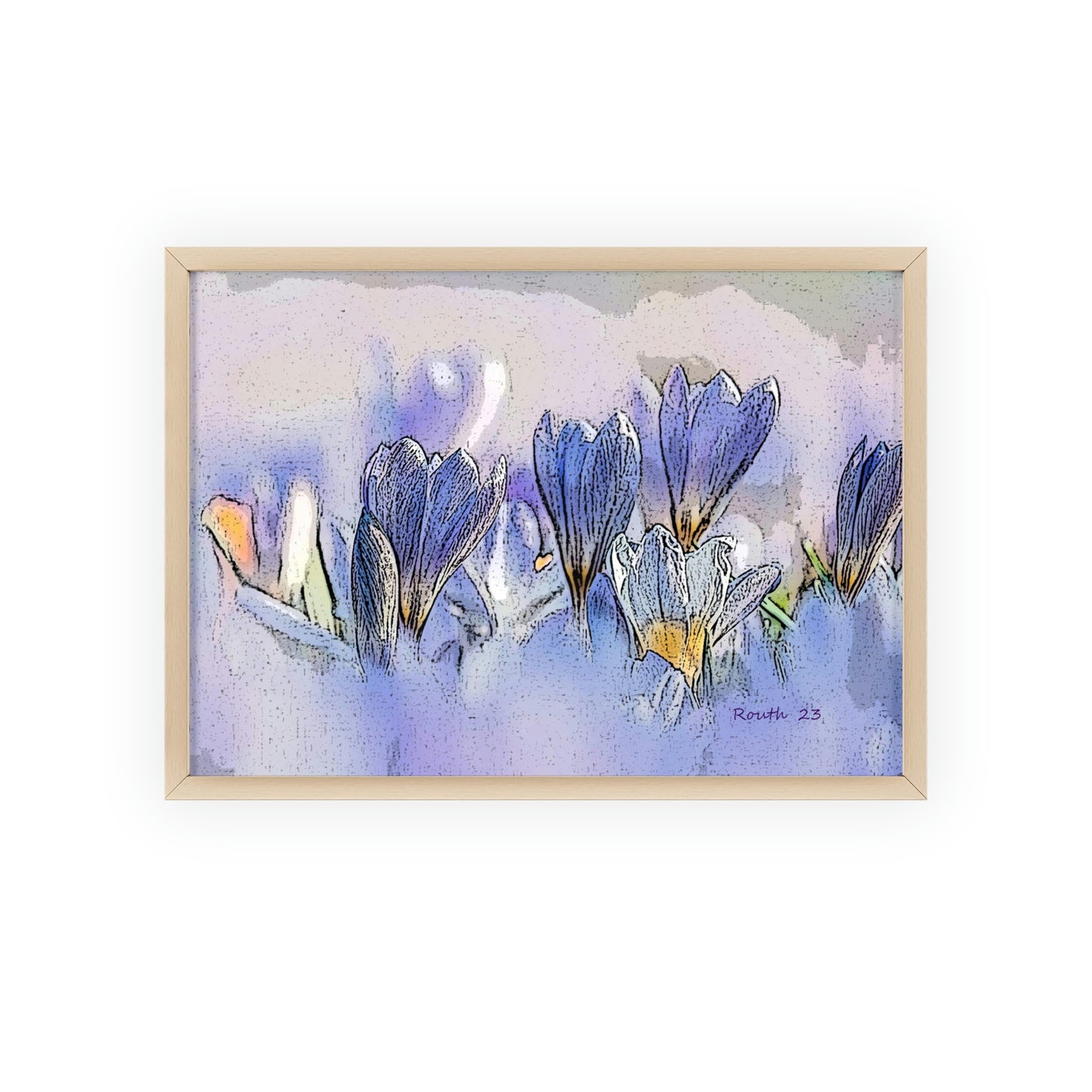 "Crocus watercolor"
