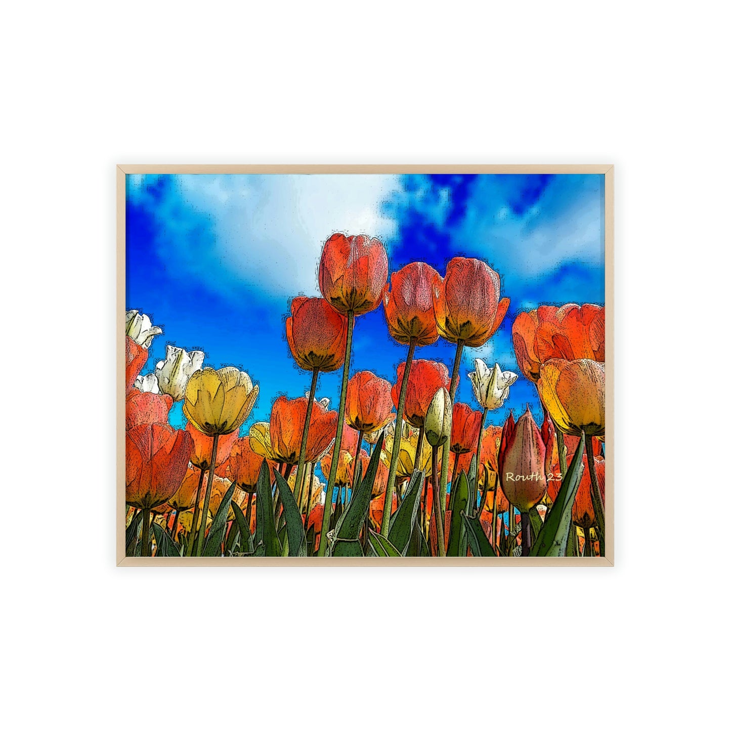 "Tulips"