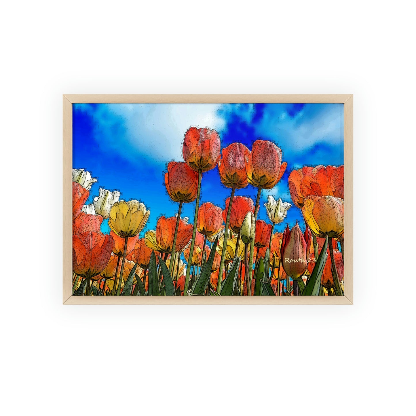 "Tulips"