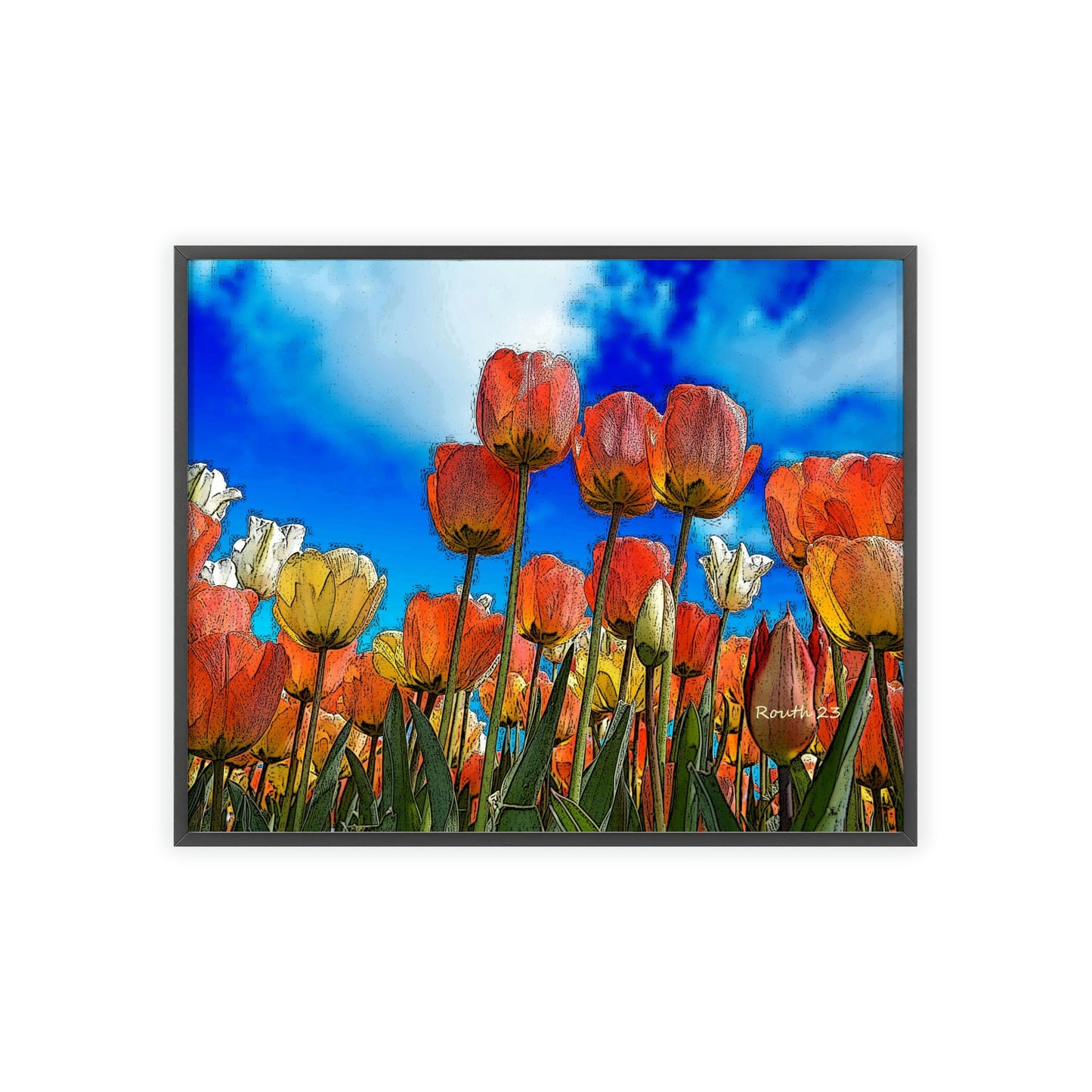 "Tulips"