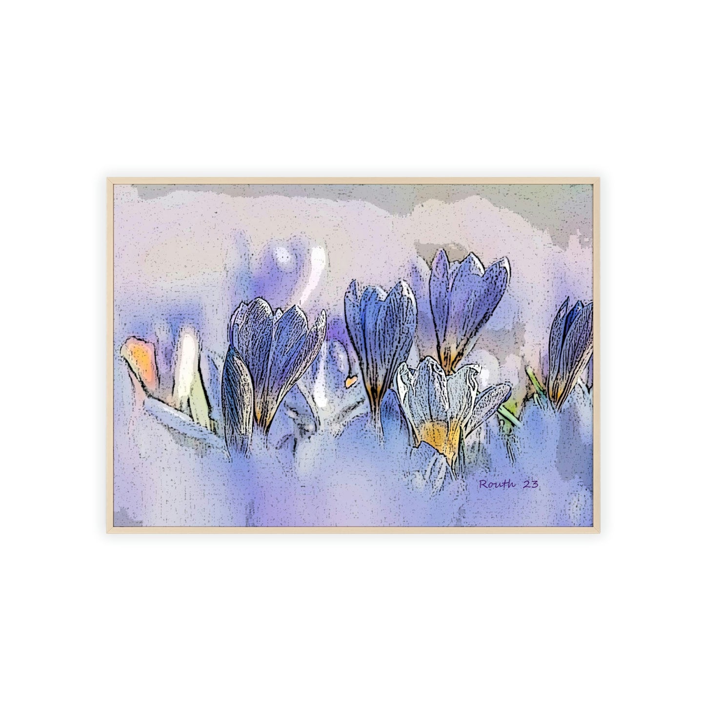 "Crocus watercolor"