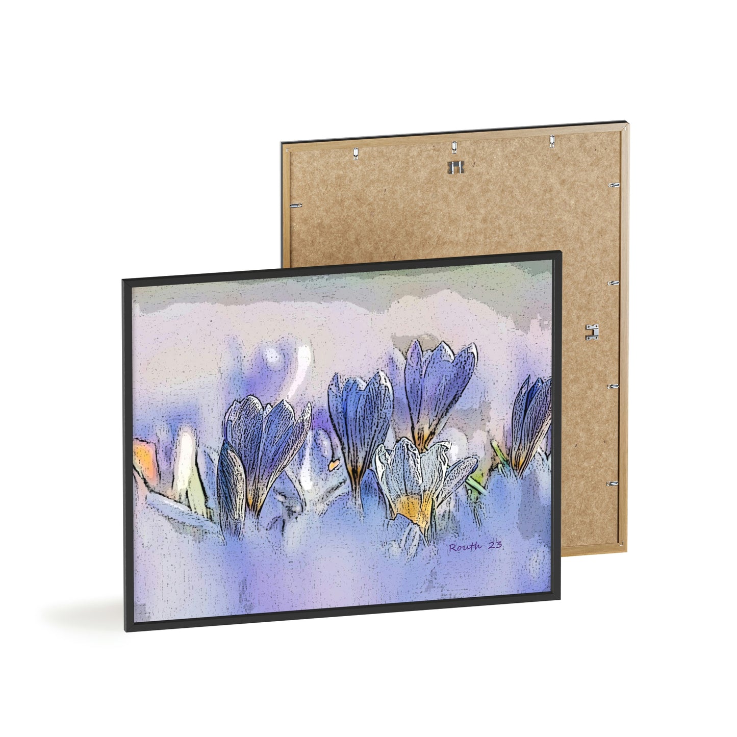 "Crocus watercolor"
