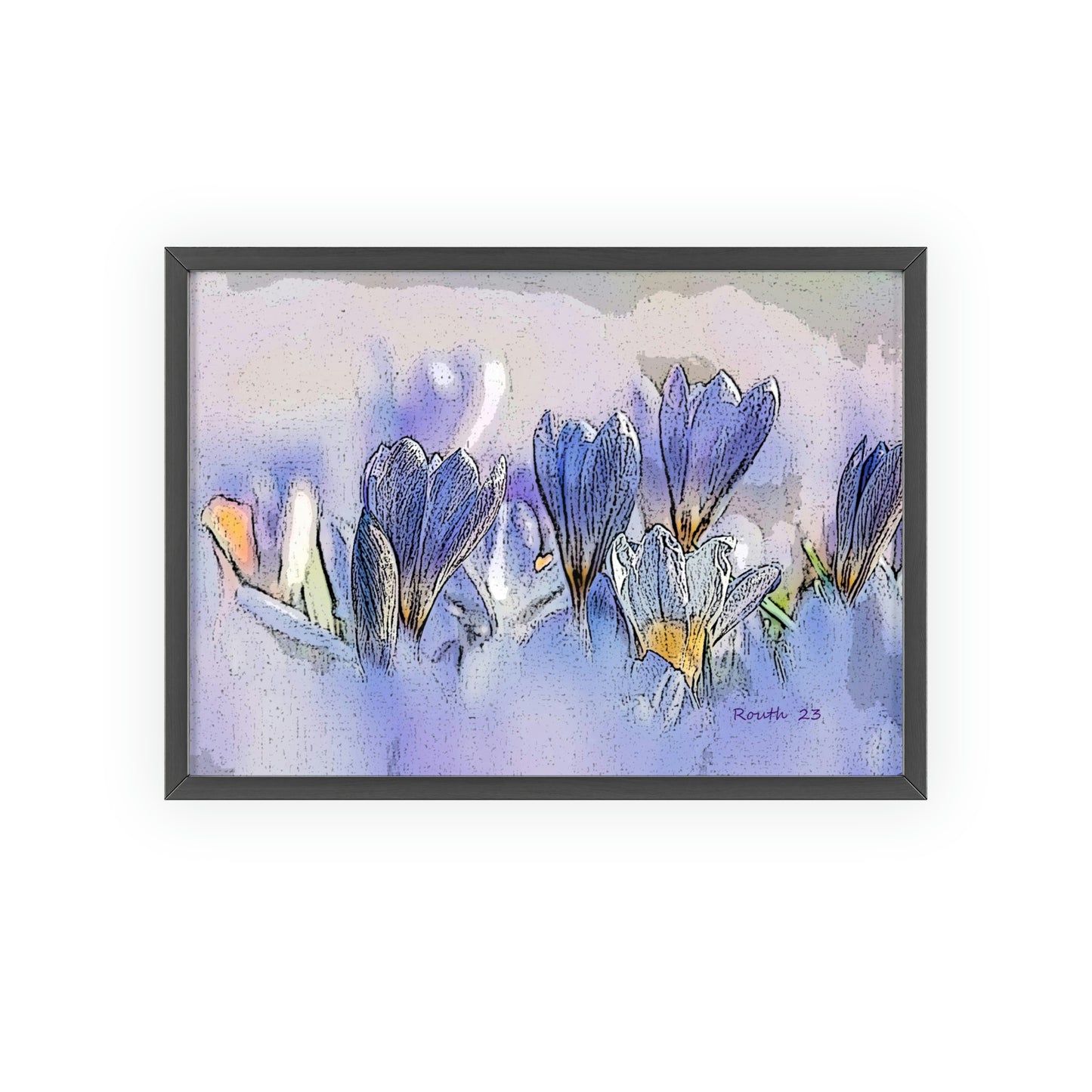 "Crocus watercolor"