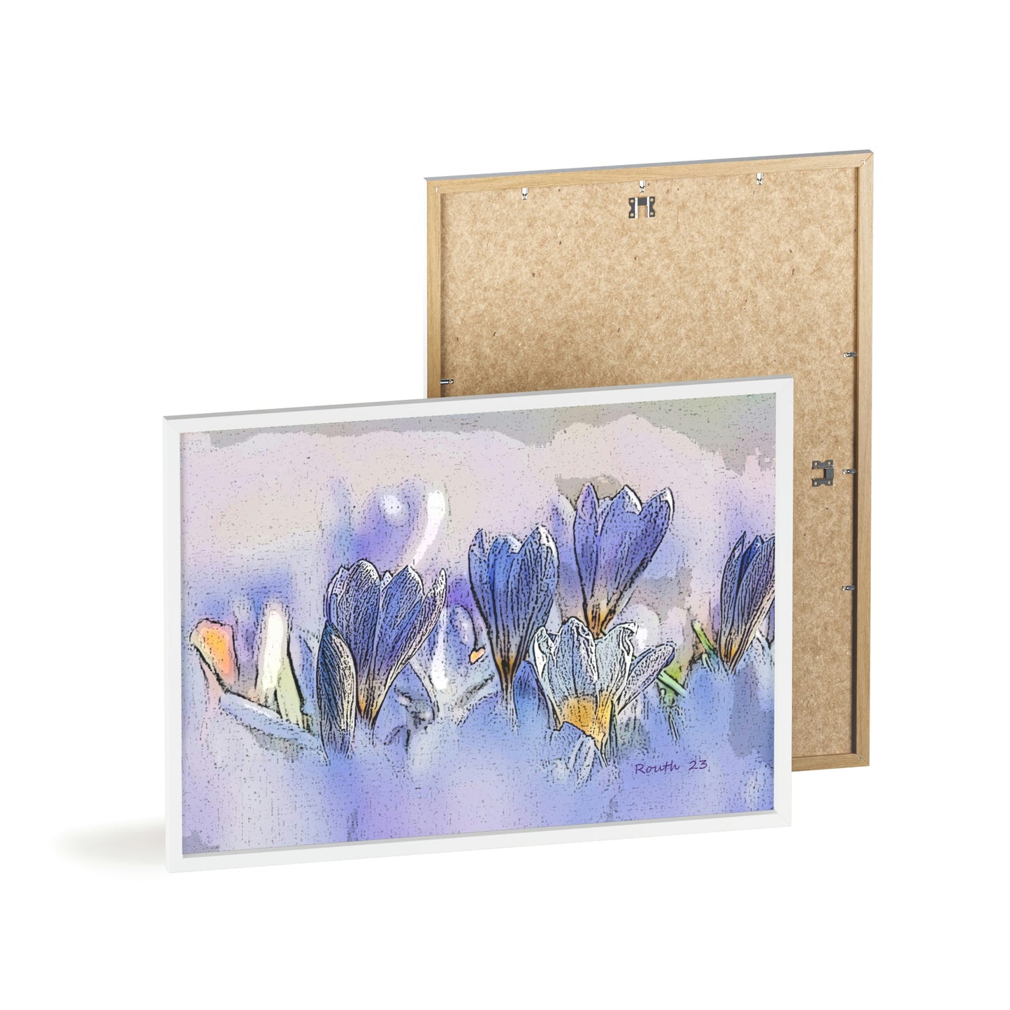 "Crocus watercolor"
