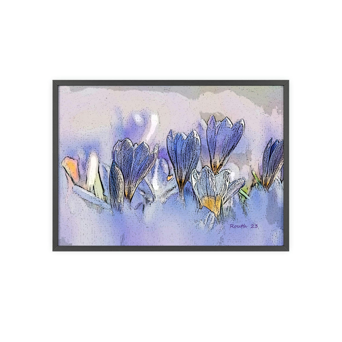 "Crocus watercolor"