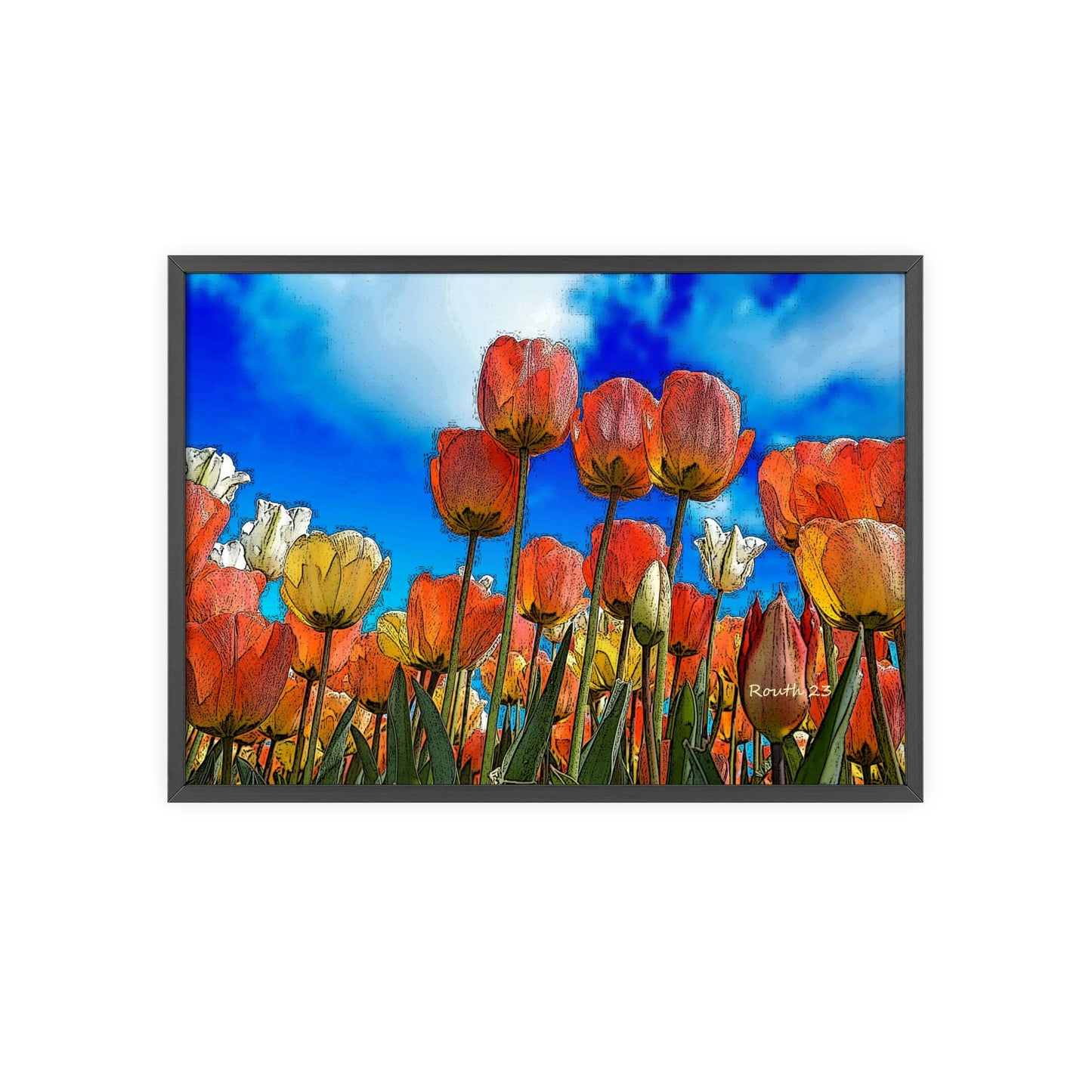 "Tulips"