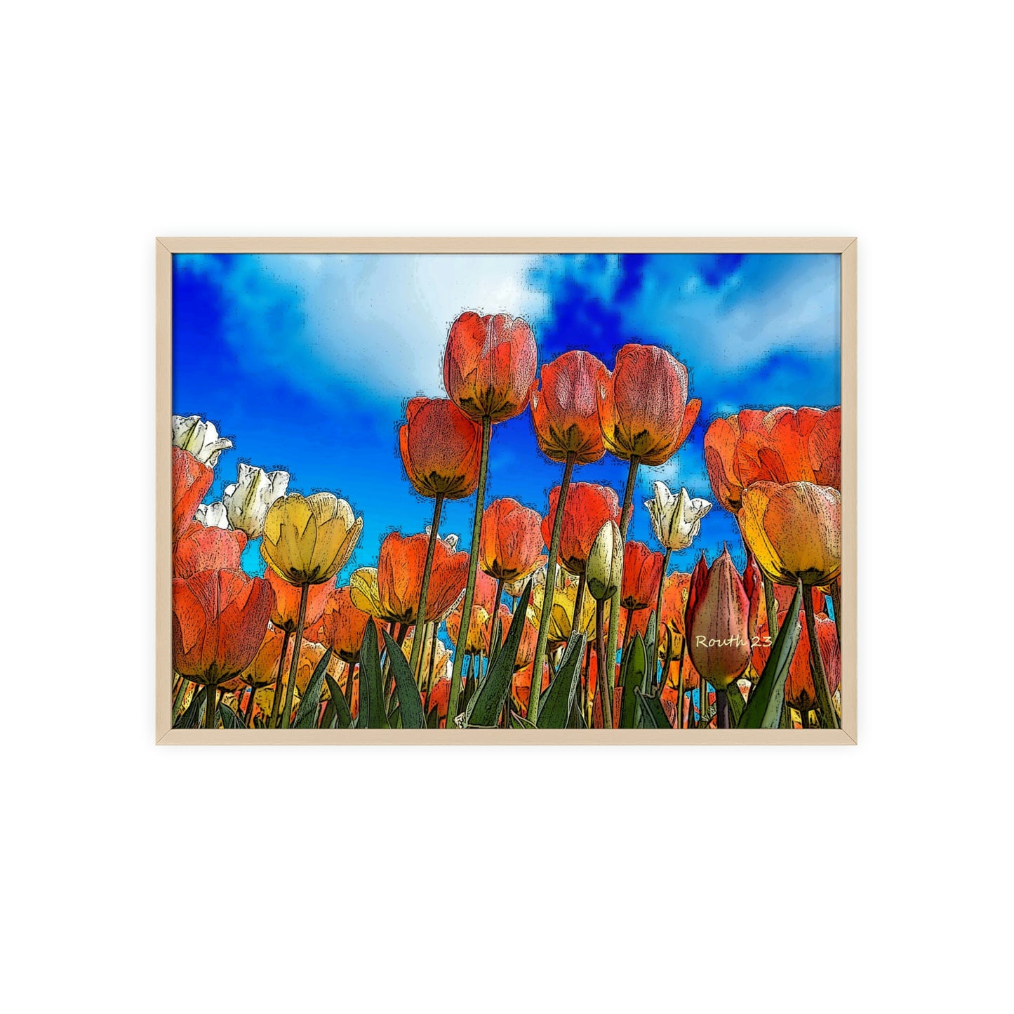 "Tulips"