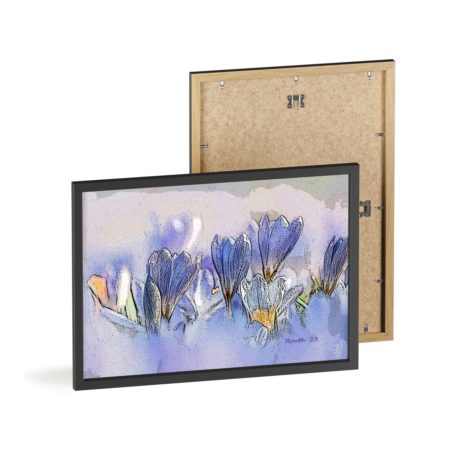 "Crocus watercolor"