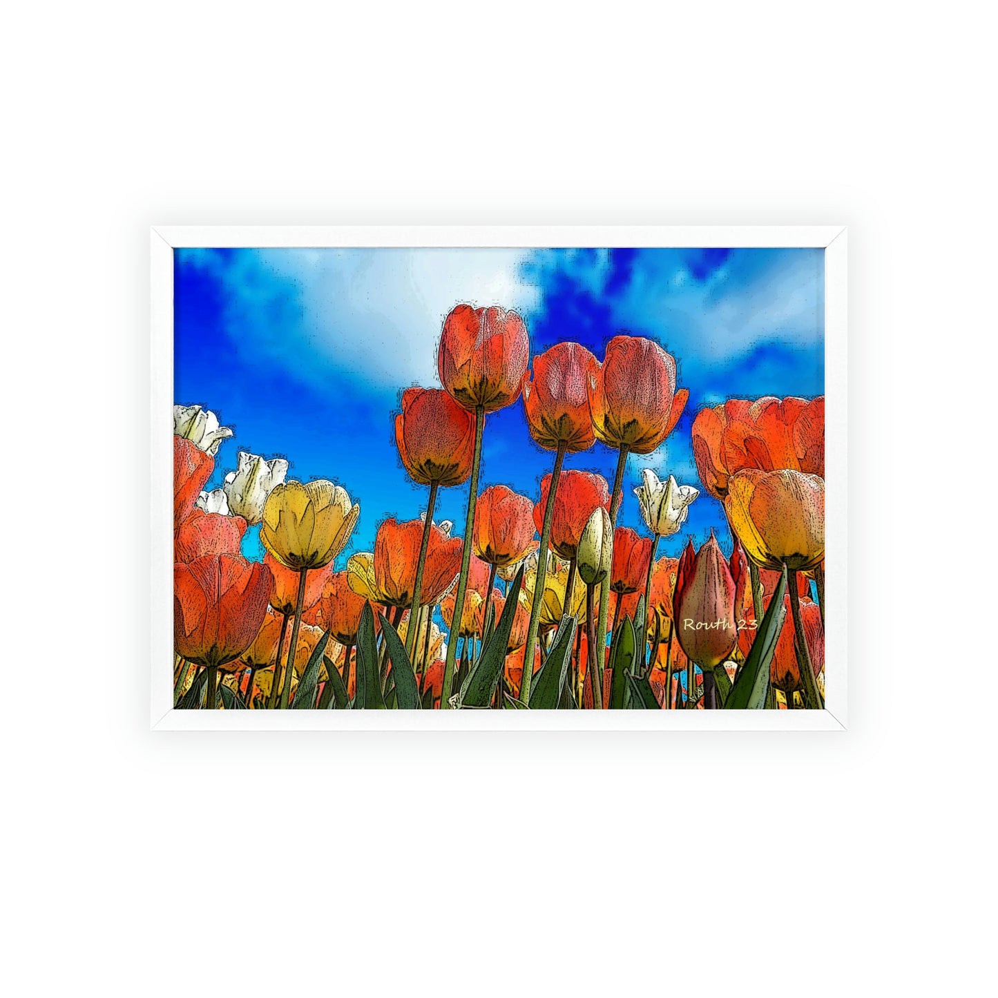 "Tulips"