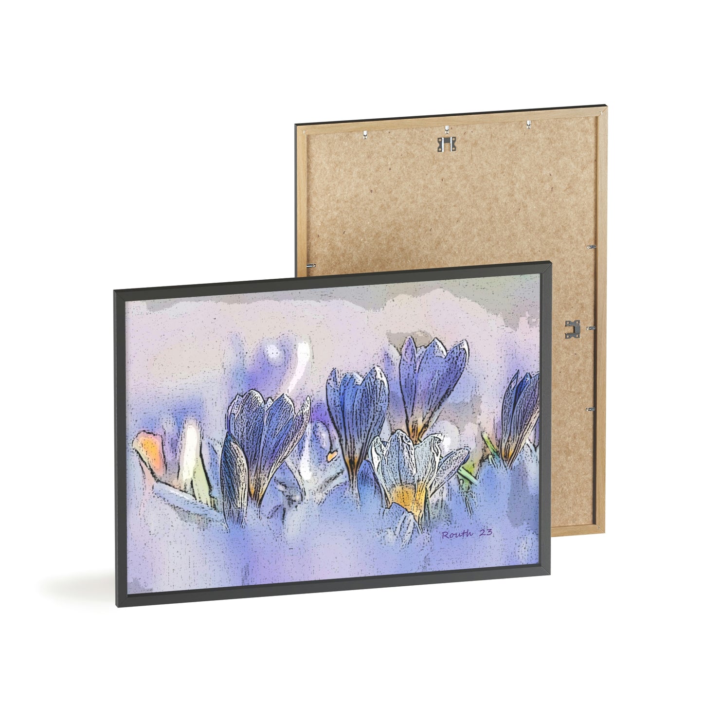"Crocus watercolor"