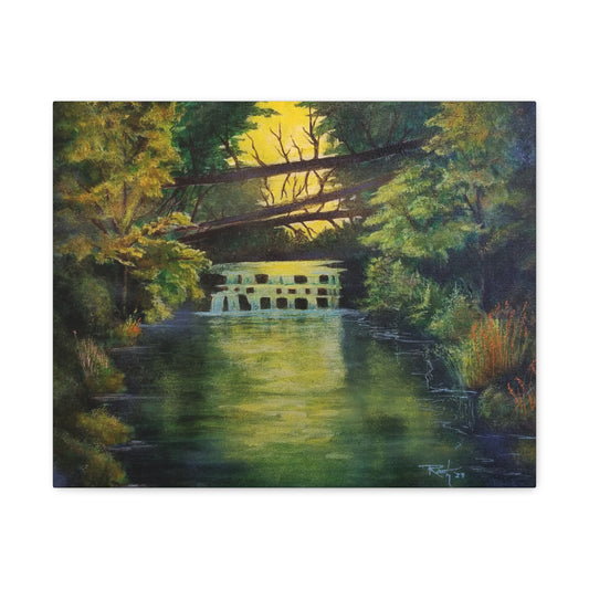 "Forest Stream"