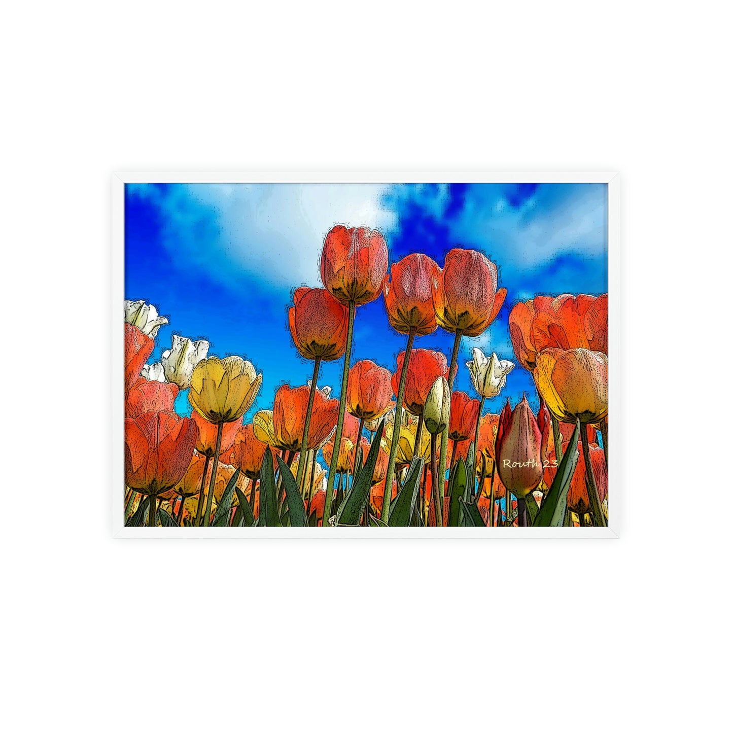 "Tulips"